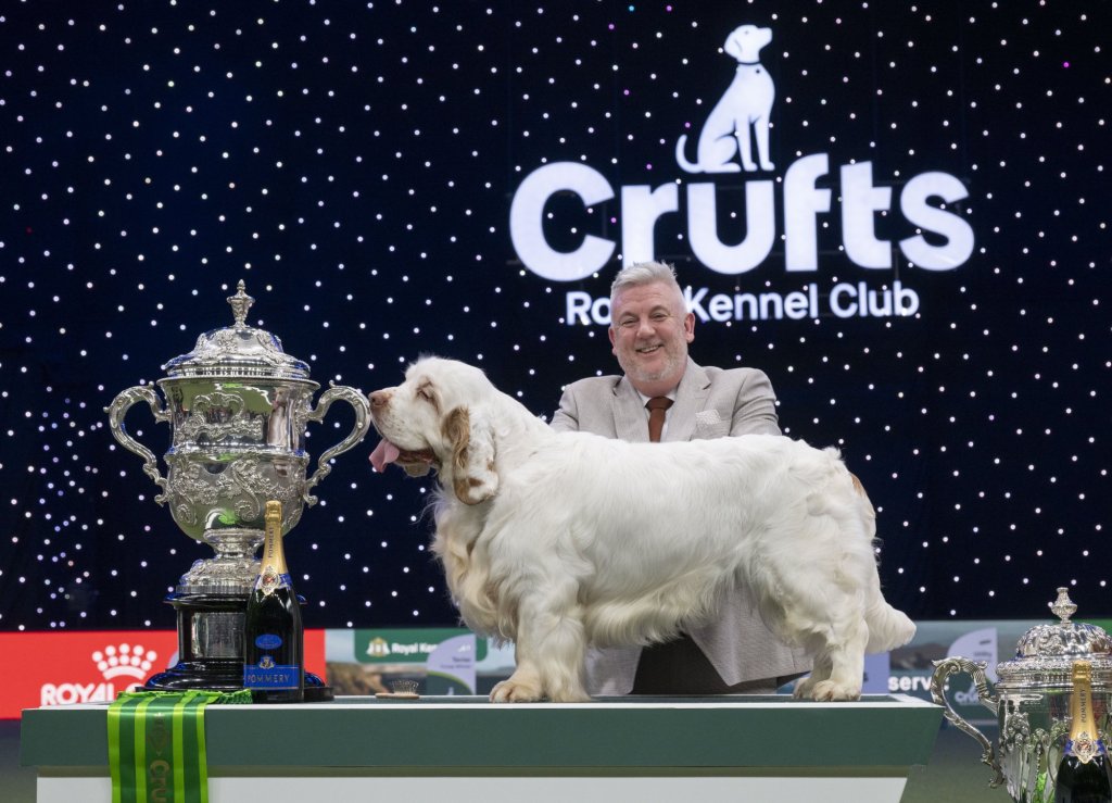 CRUFTS: Best in Show winner on list of 67 dog breeds campaigners claim could be ‘banned’ – but is your dog really at risk?