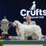 Clumber Spaniel Bruin stands on a presentation table next to the ornate Best in Show trophy at Crufts 2026, with handler Lee Cox smiling proudly behind him in front of the illuminated Crufts Royal Kennel Club backdrop.