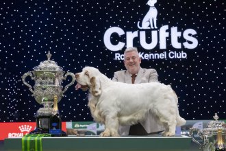 Clumber Spaniel Bruin stands on a presentation table next to the ornate Best in Show trophy at Crufts 2026, with handler Lee Cox smiling proudly behind him in front of the illuminated Crufts Royal Kennel Club backdrop.