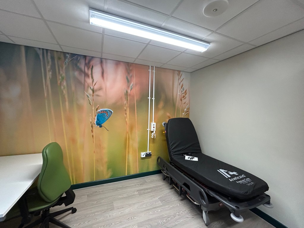 Treatment room with hospital bed and wall mural inside refurbished Same Day Emergency Care unit at Glangwili Hospital