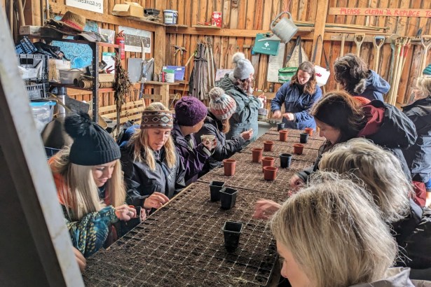 A group of people gathered around a wooden table inside a rustic shed, carefully planting seeds into small black plastic pots.