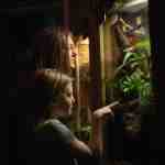 Two visitors looking closely into a zoo enclosure at Plantasia’s new venom and poison exhibit in Swansea