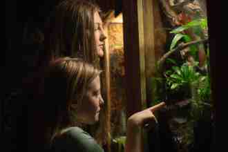 Two visitors looking closely into a zoo enclosure at Plantasia’s new venom and poison exhibit in Swansea