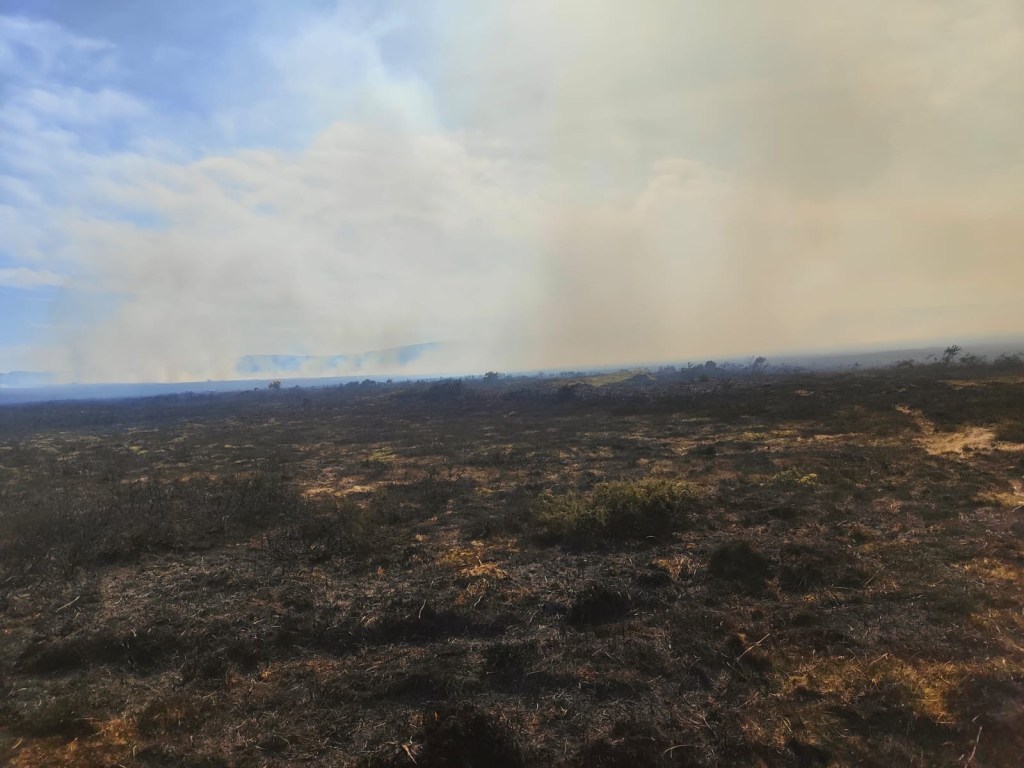 Wide view of scorched black moorland at Cefn Bryn in Gower with a thick blanket of smoke visible on the horizon under a blue sky.