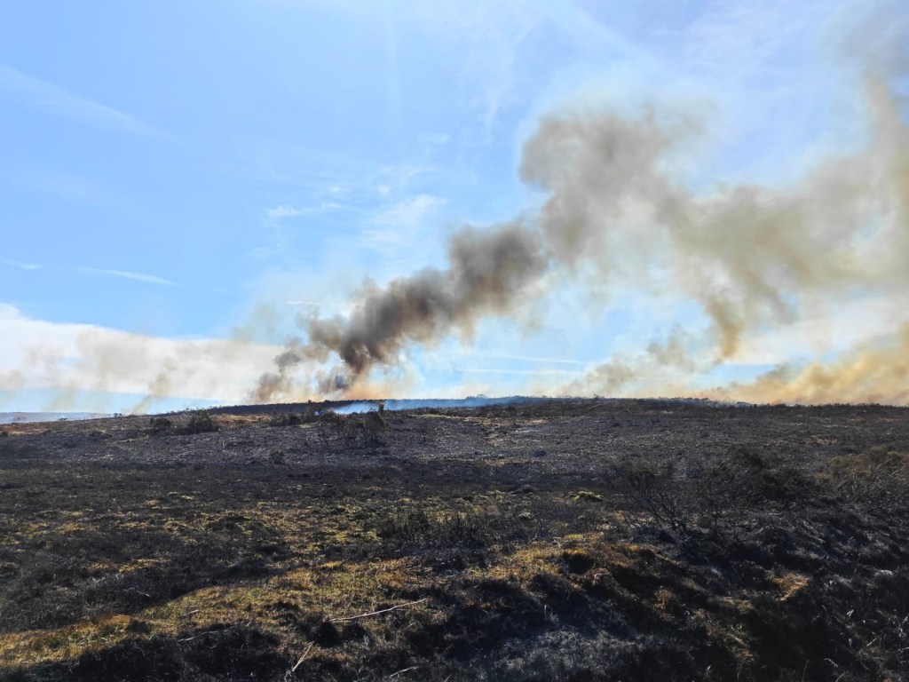 Columns of dark and pale smoke rising from a blackened hillside at Cefn Bryn in Gower against a clear blue sky, with the fire still burning along the ridge.