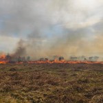 A long wall of orange flames burning across dry moorland vegetation at Cefn Bryn in Gower, with dark smoke rising into a cloudy sky.