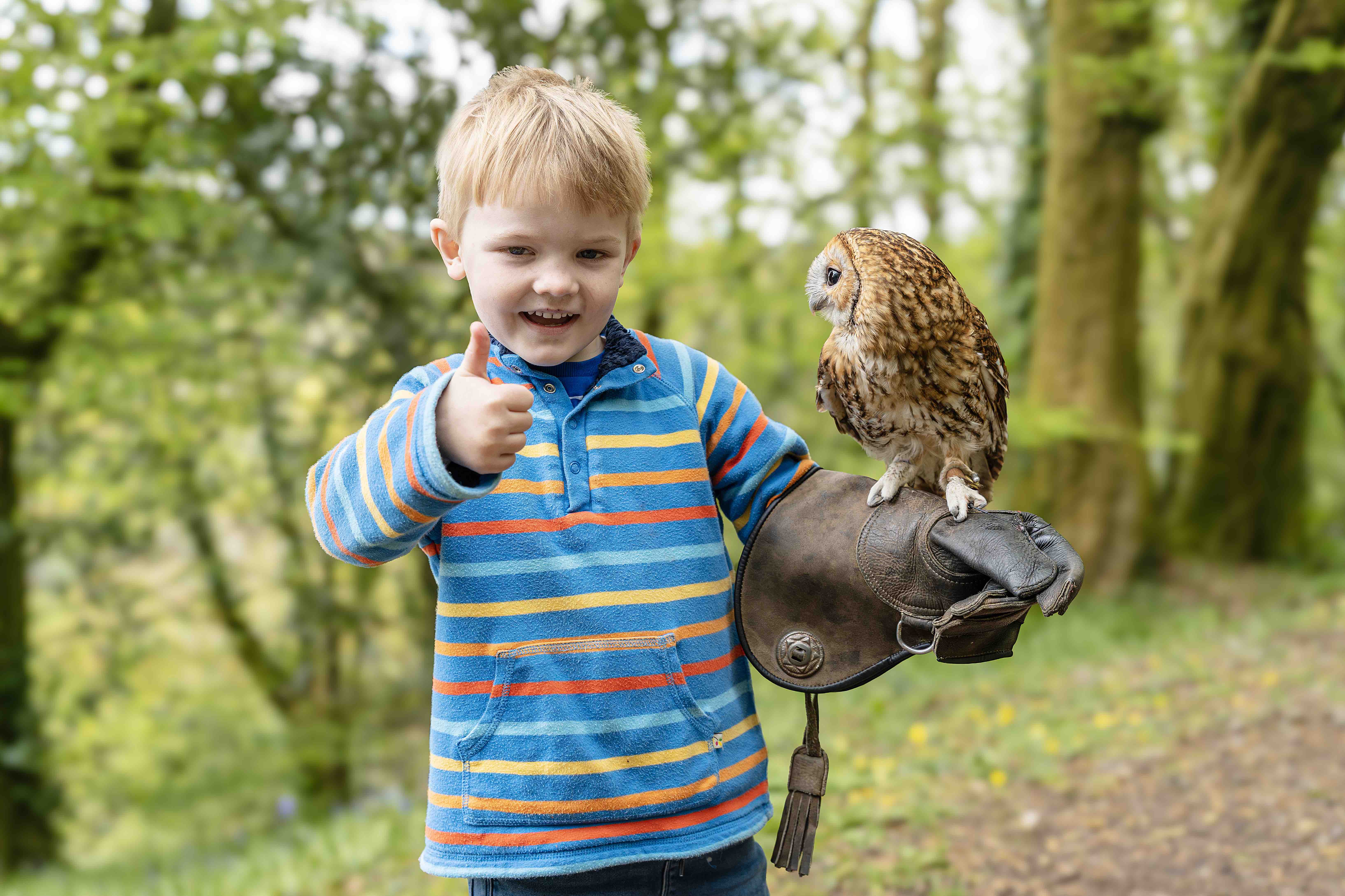 CARMARTHEN: Raptor attraction that drew 4,000 visitors in its first winter launches new all-weather facilities for spring - Swansea Bay News