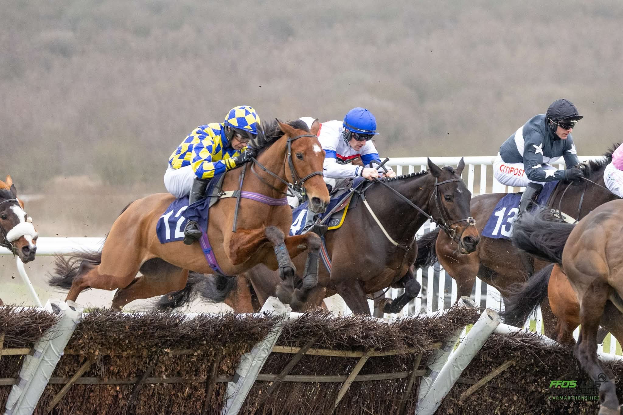 Ffos Las Racecourse: Preview and tips for today's seven‑race meeting - Swansea Bay News