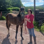 Gemma Williams with a foal on her farm in Llanddeusant, Carmarthenshire