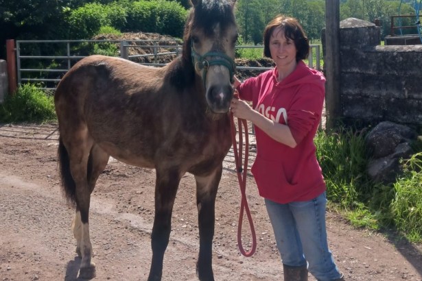 Gemma Williams with a foal on her farm in Llanddeusant, Carmarthenshire