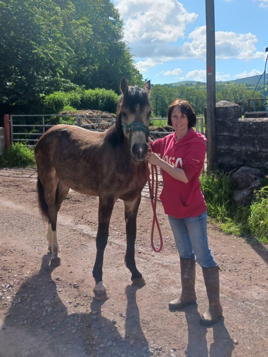 Gemma Williams with a foal on her farm in Llanddeusant, Carmarthenshire