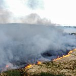 Aerial view of a large wildfire burning across Fairwood Common on Gower, with a line of orange flames advancing across dry grassland and a thick plume of grey smoke rising into the sky, with a road and fields visible in the distance
