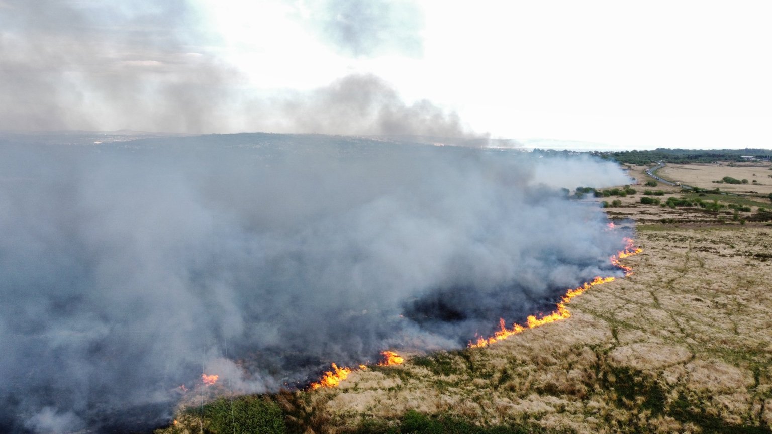 Aerial view of a large wildfire burning across Fairwood Common on Gower, with a line of orange flames advancing across dry grassland and a thick plume of grey smoke rising into the sky, with a road and fields visible in the distance