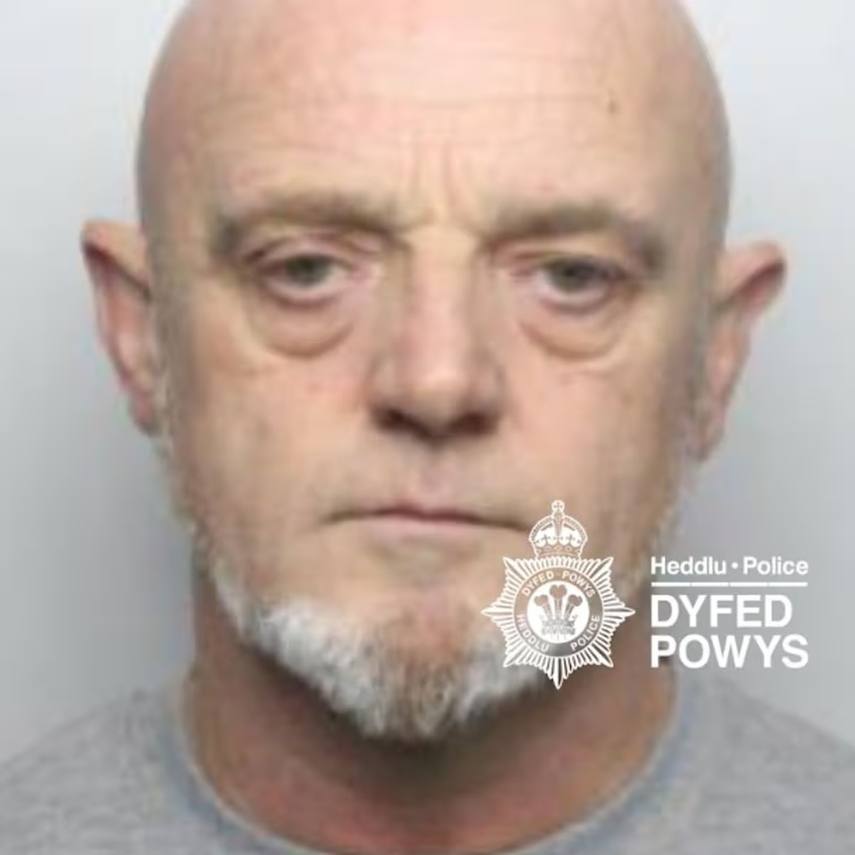 Sheridan Geen (Image: Dyfed Powys Police)