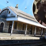 Tenby railway station, where four teenagers were stabbed on Tuesday night. Inset: Social media footage circulated following the incident.