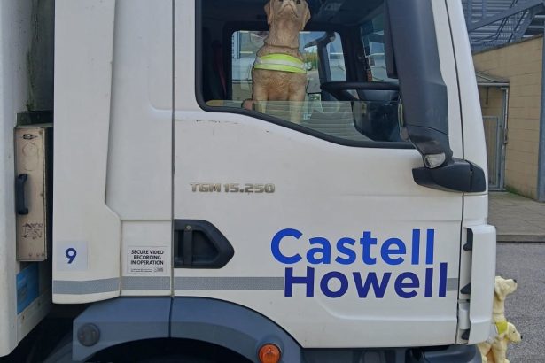 A Guide Dogs collecting box hitches a ride in the Castell Howell lorry cab on its 220-mile journey from near Wigan to South Wales. Image: Castell Howell / Guide Dogs