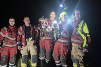 Five firefighters from Kidwelly Fire Station holding rescued lambs at night after culvert rescue.