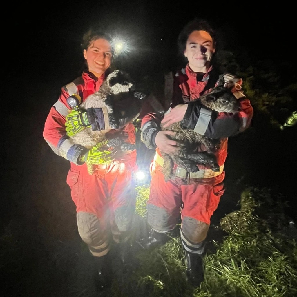 Two Kidwelly firefighters holding rescued lambs in the dark. Credit: Mid and West Wales Fire and Rescue Service