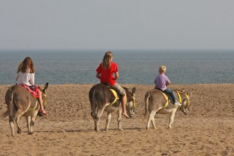 Donkeys won't be returning to Coney Beach (Image: nutmeg66 / CC BY-NC-ND 2.0)