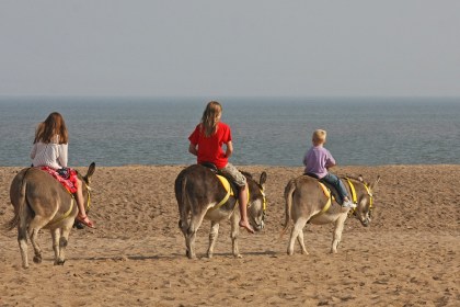 Donkeys won't be returning to Coney Beach (Image: nutmeg66 / CC BY-NC-ND 2.0)