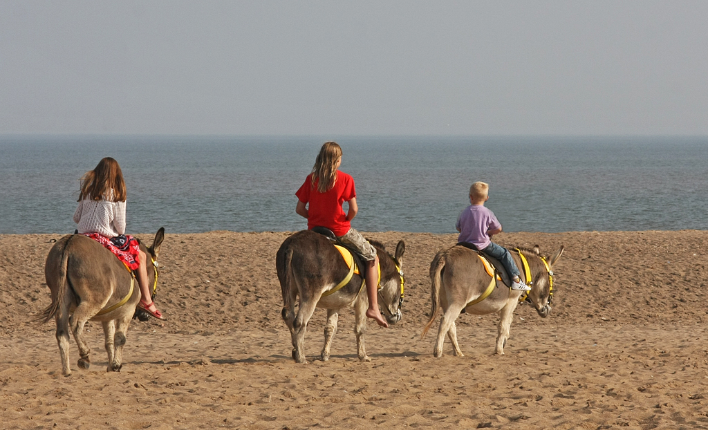 PORTHCAWL: End of the road for donkey rides on Coney Beach as council’s summer animal ban rules them out for good