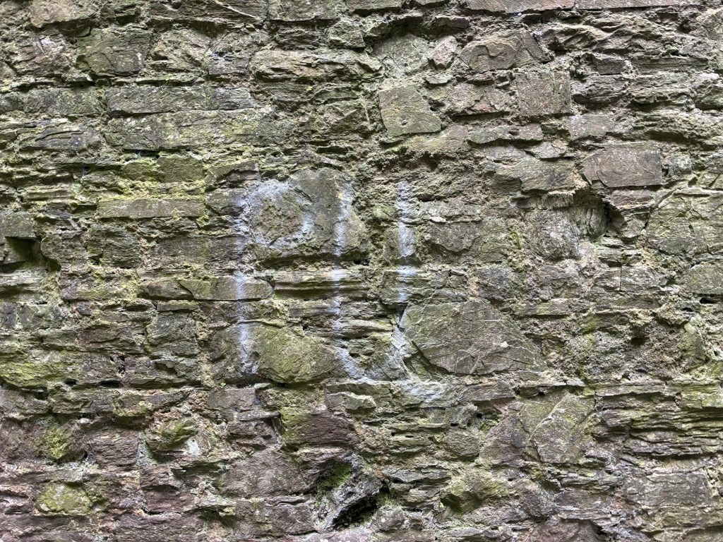 A close-up of the ancient moss-covered stone wall at Castell Llansteffan showing the texture of the medieval masonry