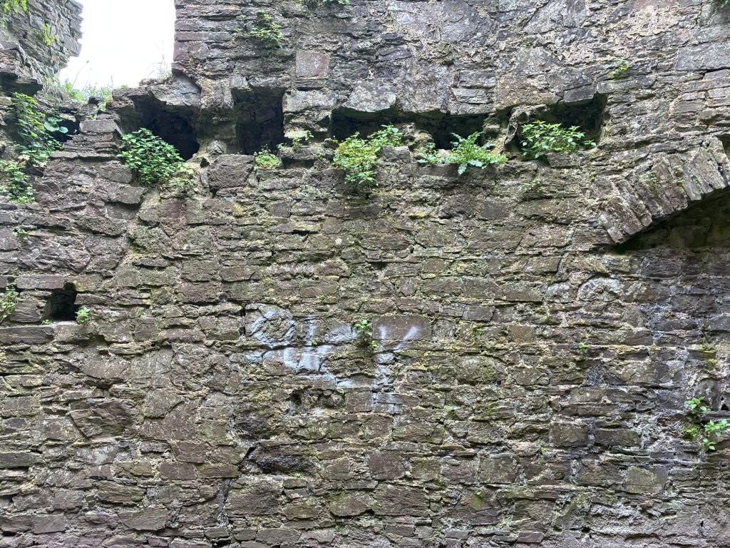 The upper section of a stone wall at Castell Llansteffan with small plants and ferns growing through gaps in the ancient masonry
