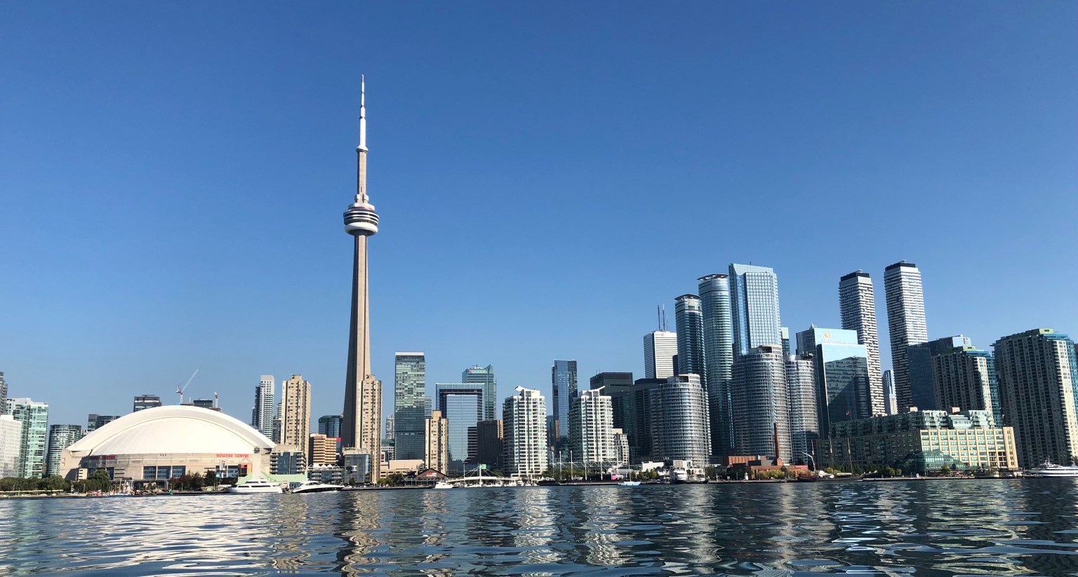 The Toronto city skyline viewed from the water on a clear blue day, dominated by the CN Tower with the Rogers Centre stadium visible to the left and modern skyscrapers stretching across the waterfront