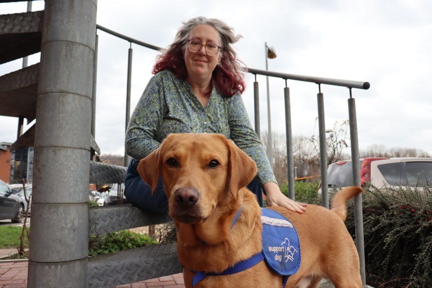 Emma Reardon, a woman with red-streaked grey hair and glasses, sits on steps outdoors with her hand resting on her Red Fox Labrador Jeff, who is wearing a blue Support Dog vest and looking directly at the camera.
