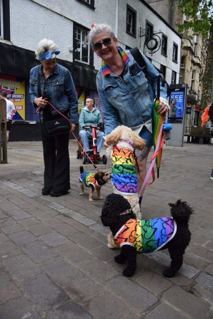 A smiling woman walks three small dogs dressed in rainbow heart-patterned coats along a Swansea street ahead of the Pride 2026 parade, with another woman and her dog visible behind her.