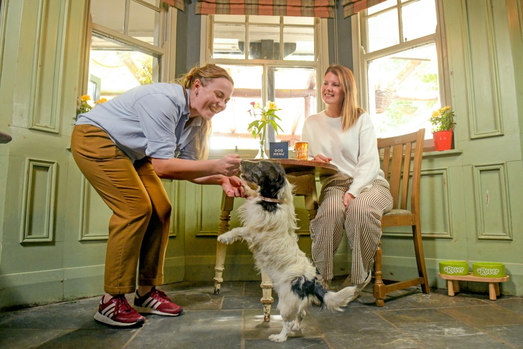Landlady Maddy Daniels (left), serves local dog, Darcy treats as The Foresters Arms in Fordingbridge is crowned the UK’s most dog-friendly pub by Rover.com. Half (45%) of Brits say they’d head out more often if they could bring their dog along, showing just how important pup-friendly pubs are to the community.