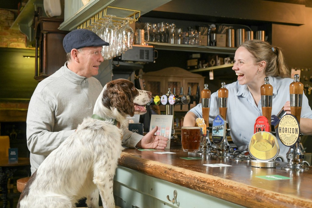 A dog, a pint and £1,000 — someone in Wales is about to get paid to visit ten pubs this summer