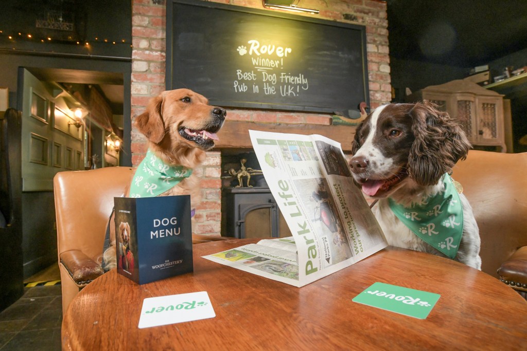 Pub dog, Norman enjoys company at The Foresters Arms, in Fordingbridge as it's crowned the UK’s most dog-friendly pub by Rover.com. Half (45%) of Brits say they’d head out more often if they could bring their dog along, showing just how important pup-friendly pubs are to the community.
