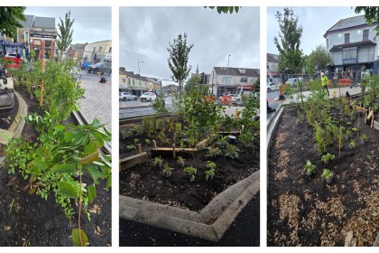 New rain gardens are being installed at Phillips Parade and Rodney Street in Swansea's Sandfields area — the latest phase of a scheme that has already transformed streets around St Helen's Primary School and is part of a wider Active Travel programme across the city.