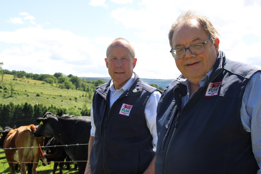 Ian Rickman and Dai Miles of the Farmers’ Union of Wales standing beside a field of dairy cows