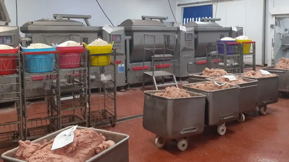 FOOD FRAUD: Swansea kebab checks exposed national ‘lamb’ scam — and led to a £500,000 fine