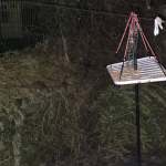 A rat on the ground beside a raised bird feeder in a garden at night, with a fence behind.