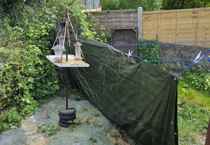 A garden bird-feeding station with hanging feeders on a stand, beside a green tarpaulin and washing line.