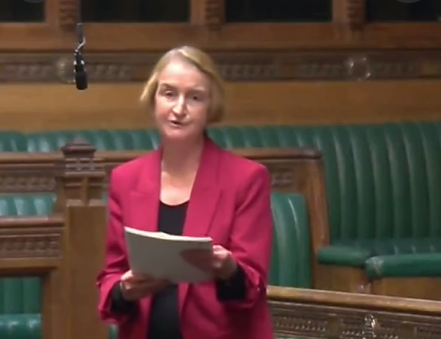 Dame Nia Griffith MP speaking in Parliament
(Image: House of Commons)