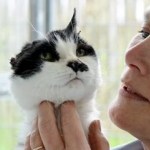 Carole Stevens holding a black and white cat up to her face at the Llys Nini animal centre