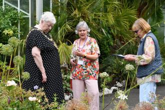 The Lord Mayor of Swansea, wearing her chain of office, looks at planting in the Botanical Gardens with two other women.