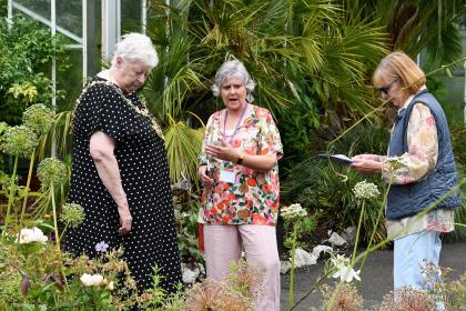 The Lord Mayor of Swansea, wearing her chain of office, looks at planting in the Botanical Gardens with two other women.