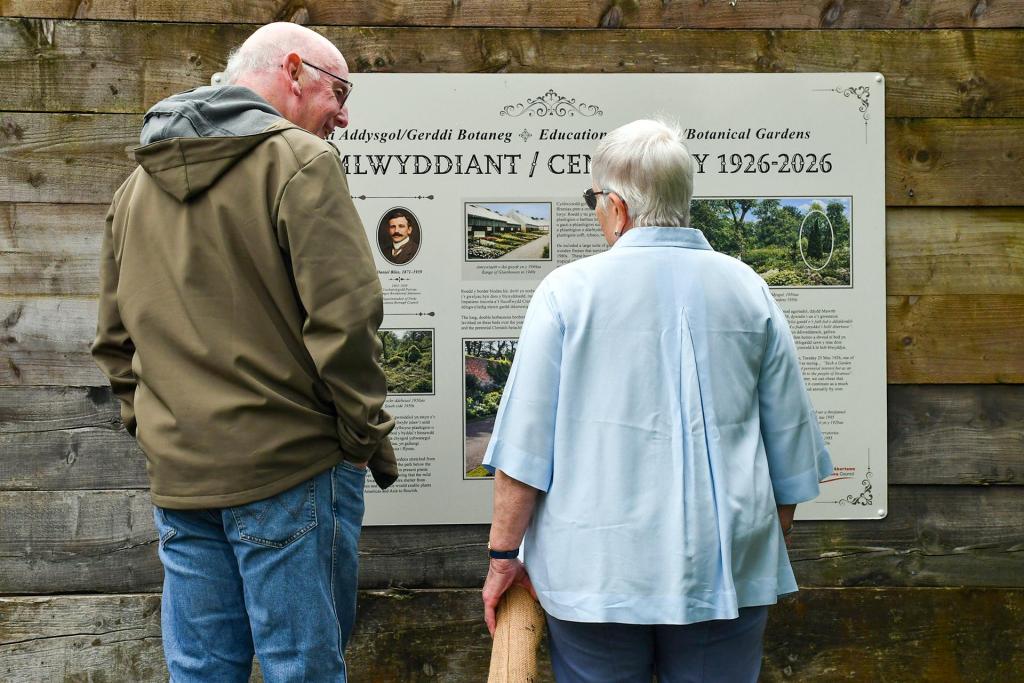Two people read the bilingual "Canmlwyddiant / Centenary 1926–2026" panel mounted on a wooden wall at the gardens.