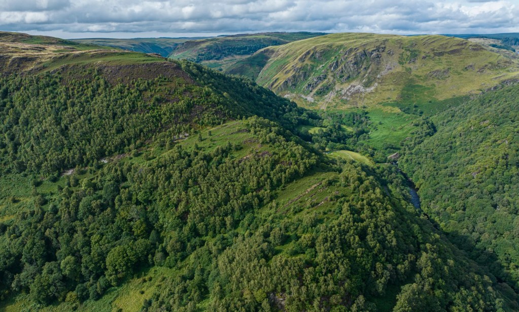 TWM SIÔN CATI: The real Welsh Robin Hood whose cave still hides above the Towy