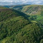 Ancient oak woodland and steep wooded valley at the RSPB's Gwenffrwd-Dinas nature reserve