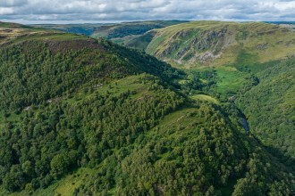 Ancient oak woodland and steep wooded valley at the RSPB's Gwenffrwd-Dinas nature reserve