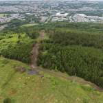 Aerial view of the gondola corridor cleared through the conifers on Kilvey Hill, with the Swansea.com Stadium and city beyond