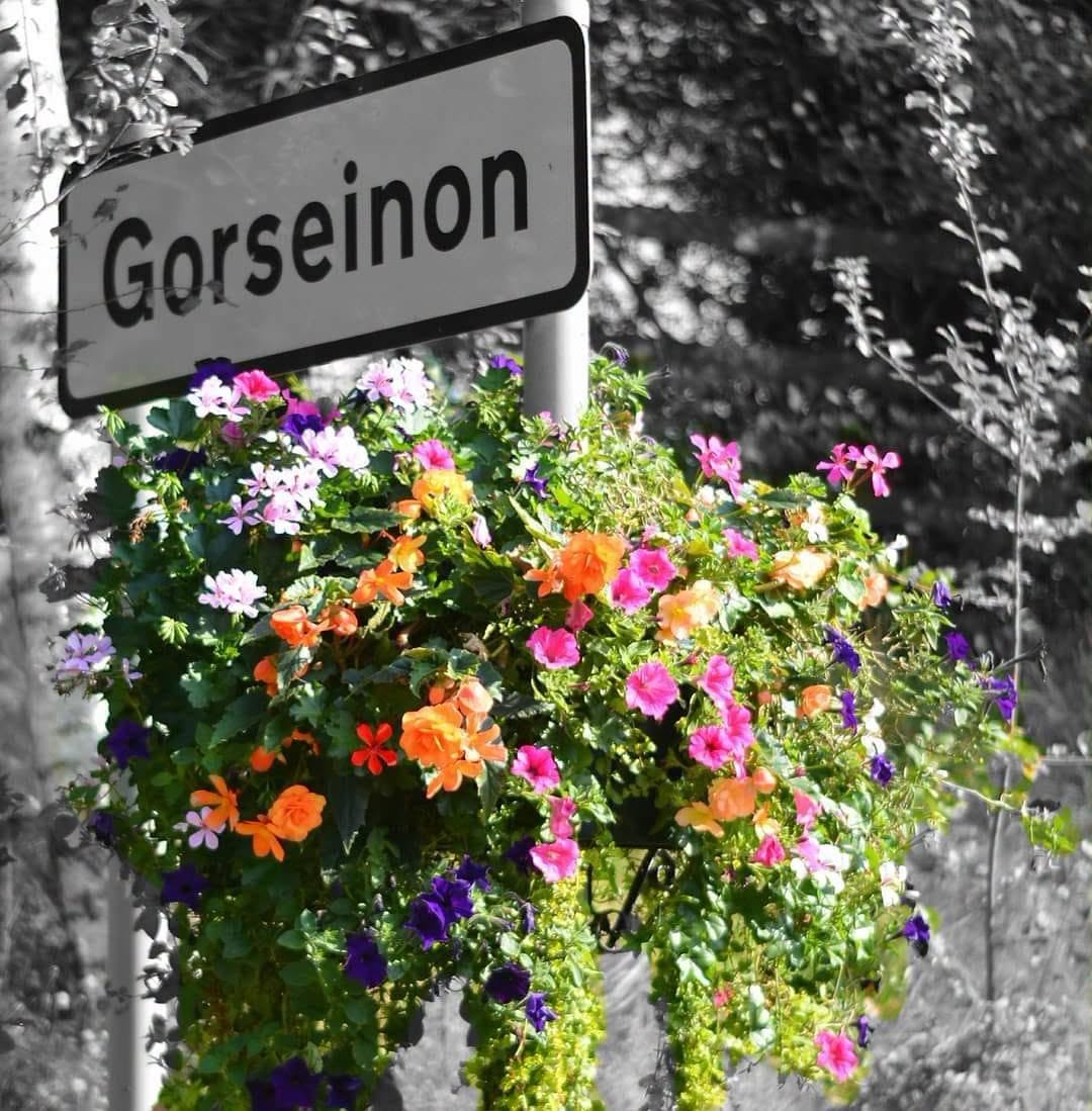 A hanging basket of colourful flowers beneath a Gorseinon road sign, with the background in black and white