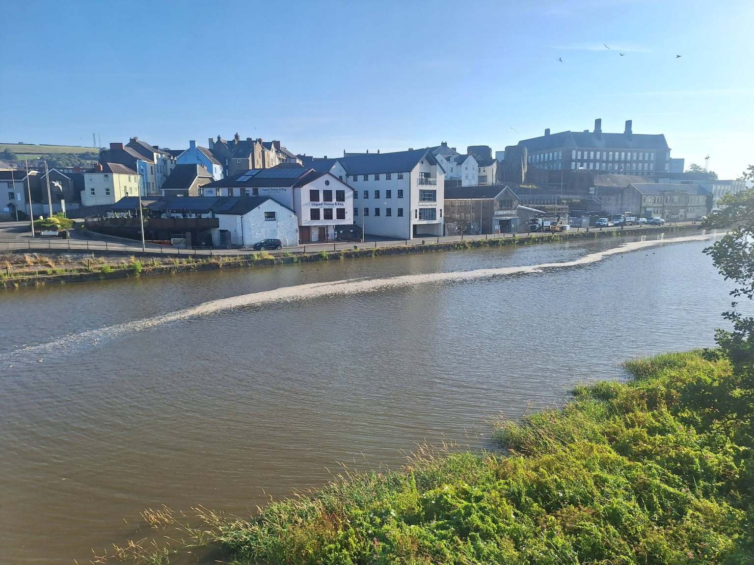 A line of foam stretching along the River Towy at Carmarthen, with the town's riverside buildings in the background