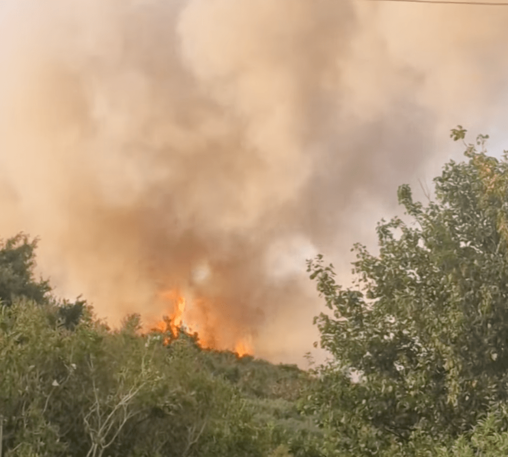Flames breaking through gorse on Kilvey Hill with a large plume of smoke rising above the trees